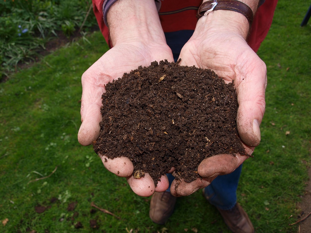 Topsoil is also known as plant substrate