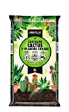 Cactus substrate 5l.