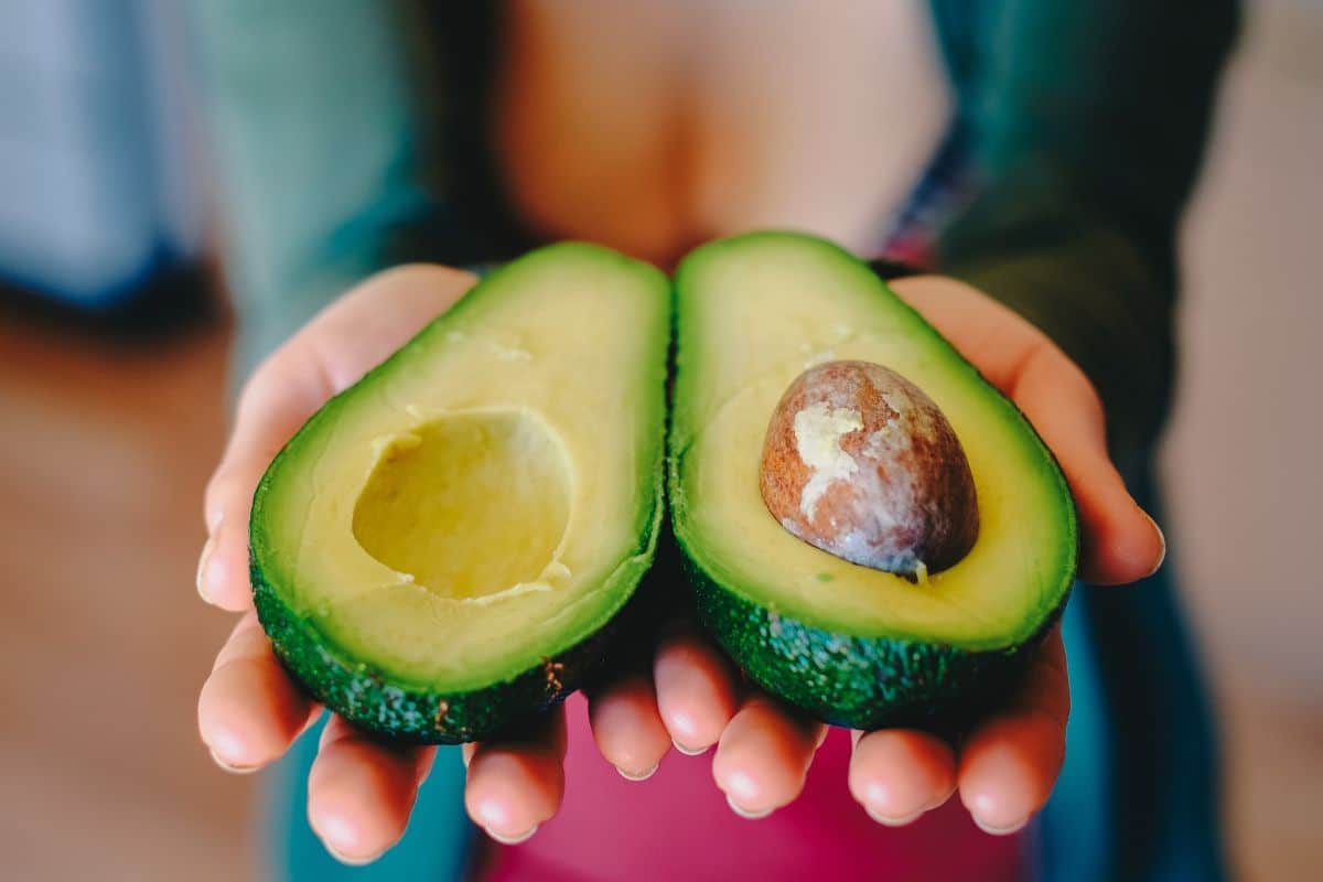 avocado cut in half