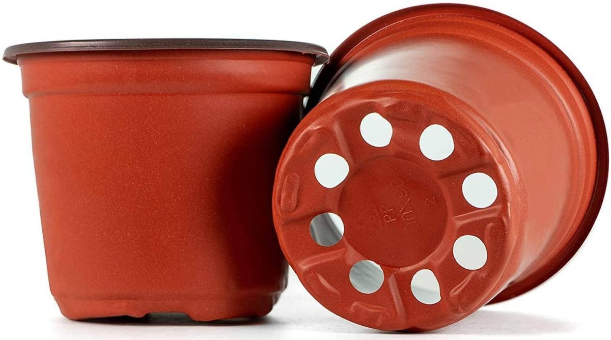 The pots should have holes for the holly