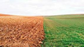 How many types of soil are there and what are they called?