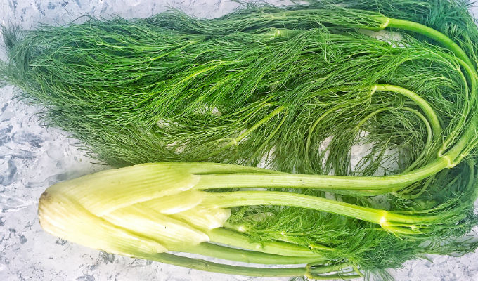 How to store fennel