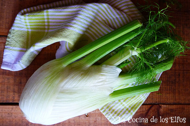 Male fennel and female fennel do not exist
