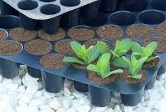 How to make a substrate for rooting?