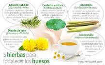 What is the best herb for strengthening bones?