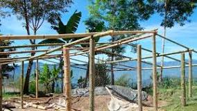 What are the steps to build a nursery?