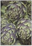 What is the artichoke and what is it used for?