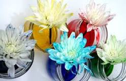 How to change the color of flowers?
