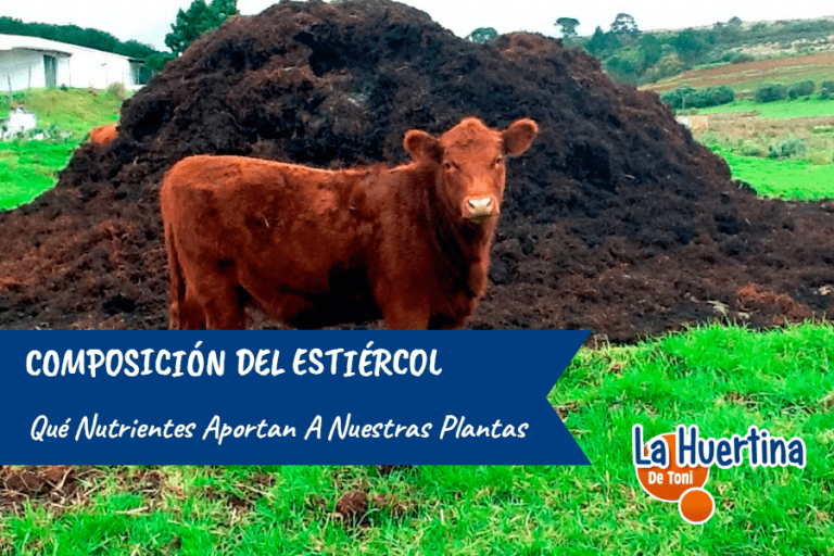 componentes del guano