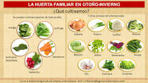 How to make a garden in autumn winter?