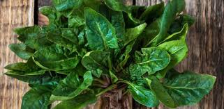 What leaves can humans eat? What leaves can humans eat?