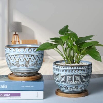 buy ceramic pots