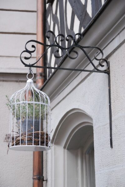 hanging cage with pot