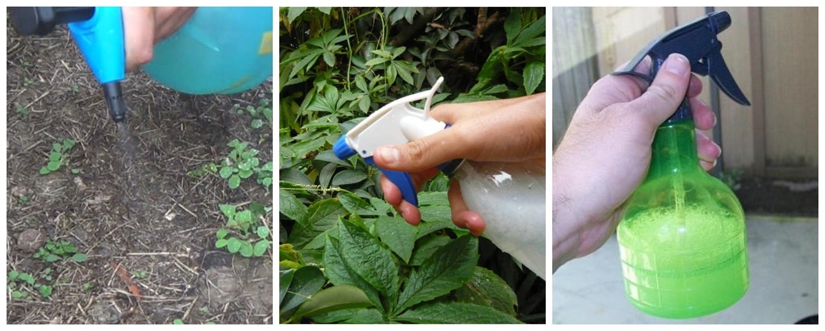 vinegar for crops
