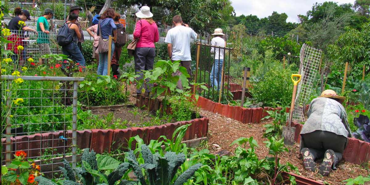 permaculture, sustainable lifestyle