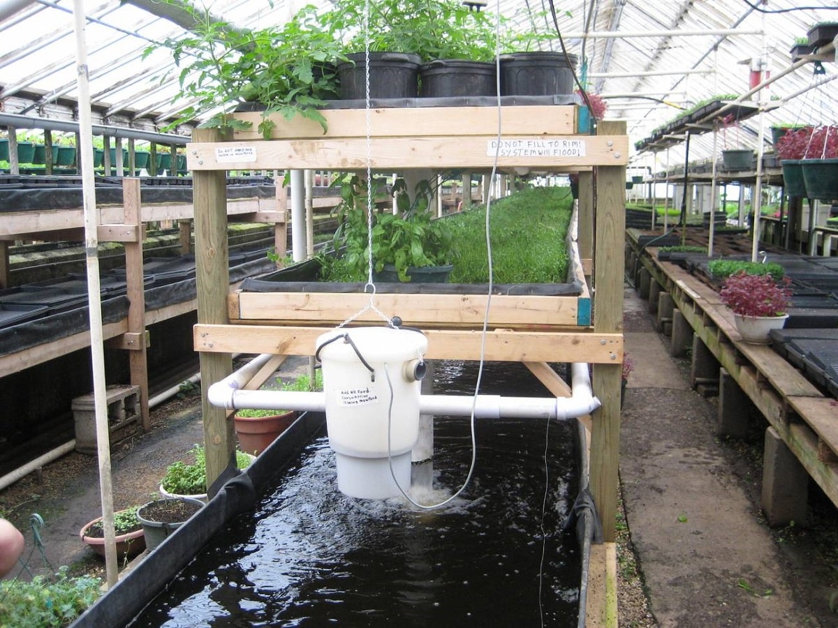 what is the aquaponic system