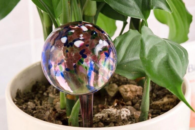 How long do water balls last?  –ISBUZZLE