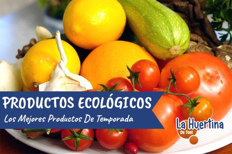 productos de temporada