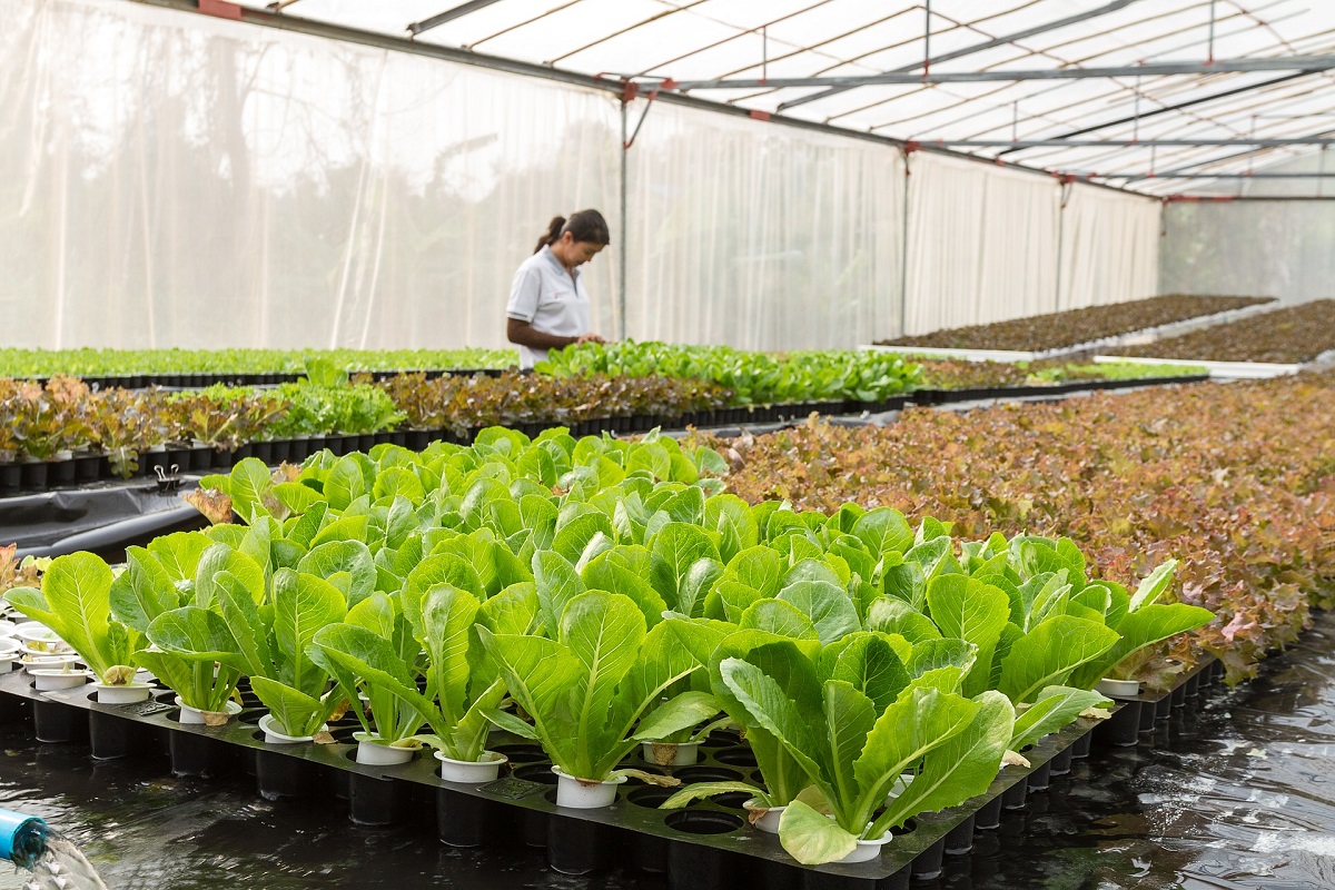 advanced agricultural systems