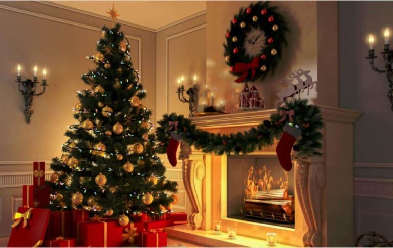 donde se ponen las plantas de navidad
