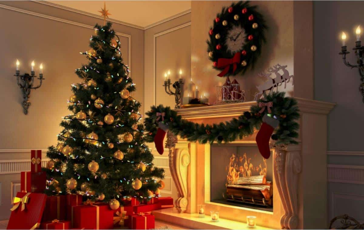 where do you put the christmas plants