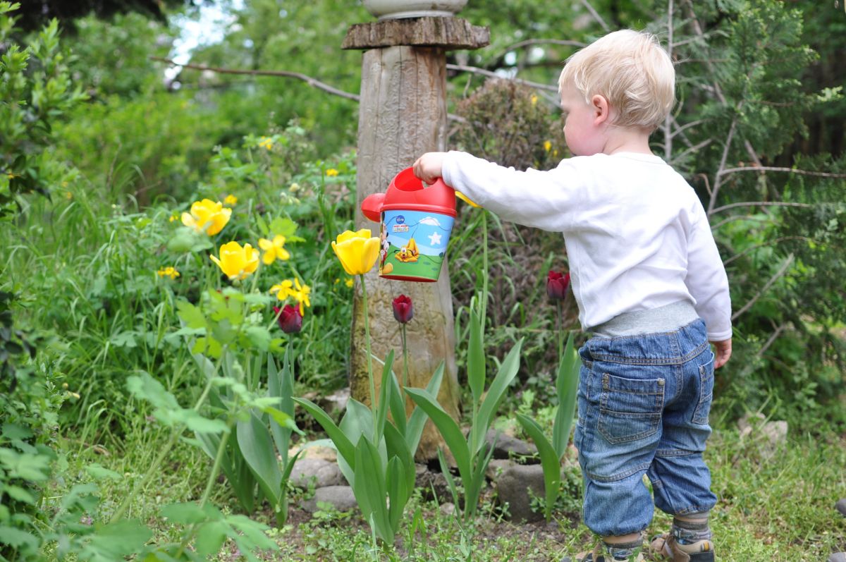 little boy watering plants