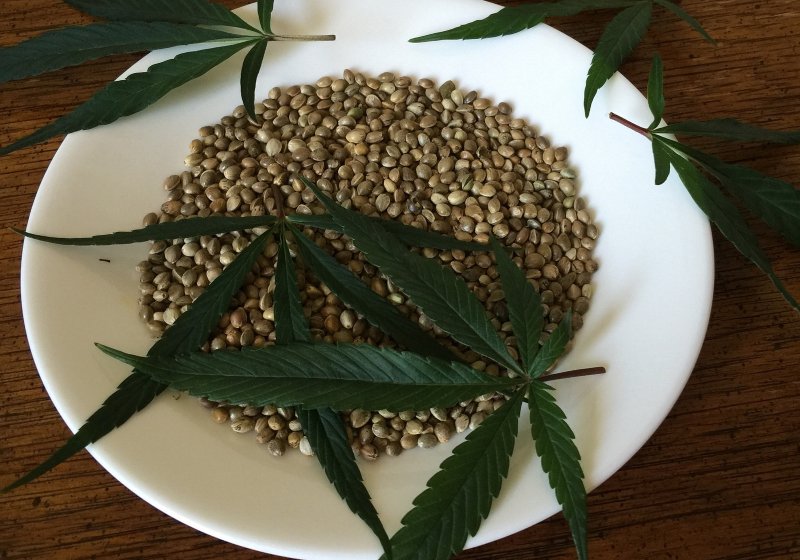 cannabis seed varieties