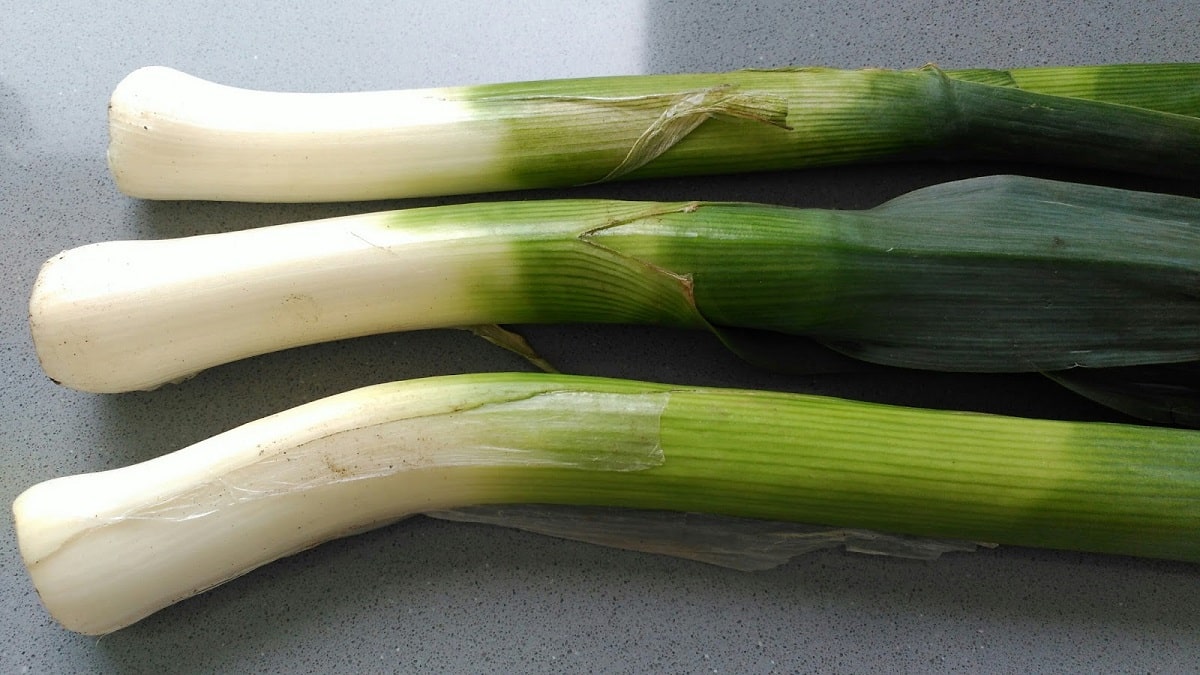 storing leeks