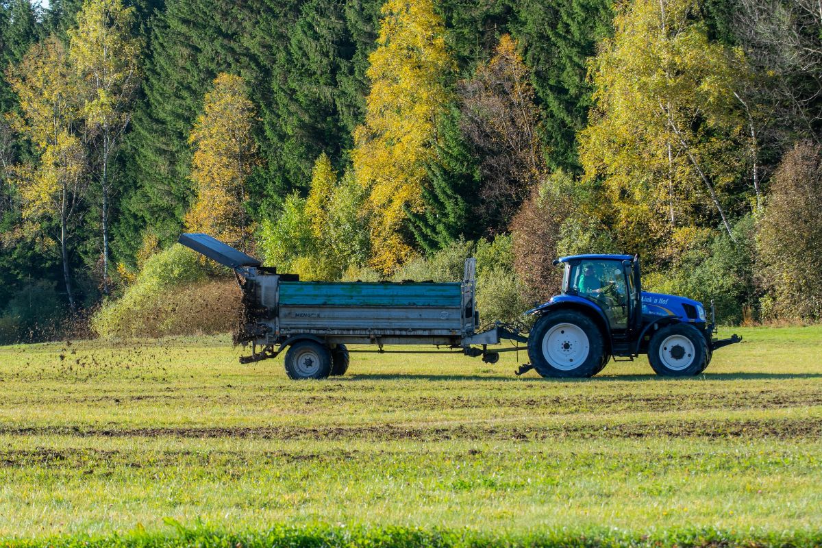 buy plant fertilizer