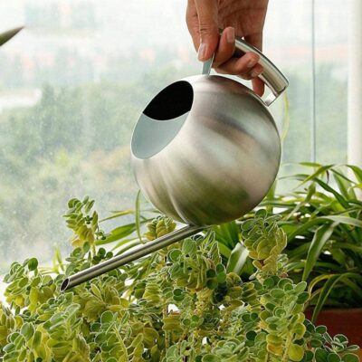 buy bonsai watering can