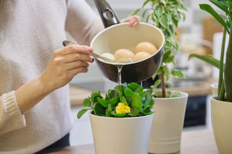 33 ways to save water at home
