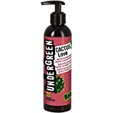 Sedum spurium: a low-maintenance succulent 4 UNDERGREEN Cactus Love Nutrients for cactus, succulents and succulents, organic liquid fertilizer, 250 ml, 2830802011