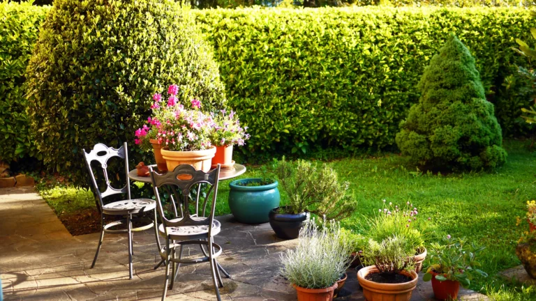 jardin y hogar