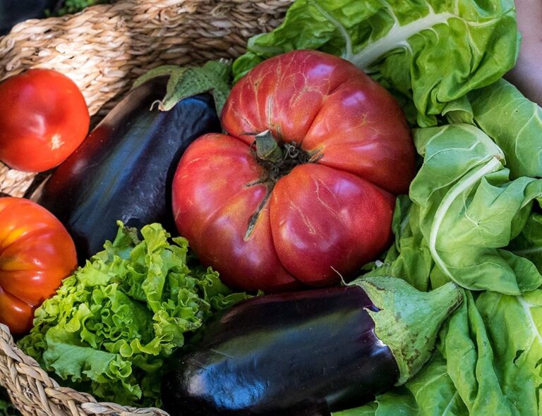 productos para el cuajado de frutos