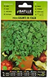 GIANT ITALIAN PARSLEY