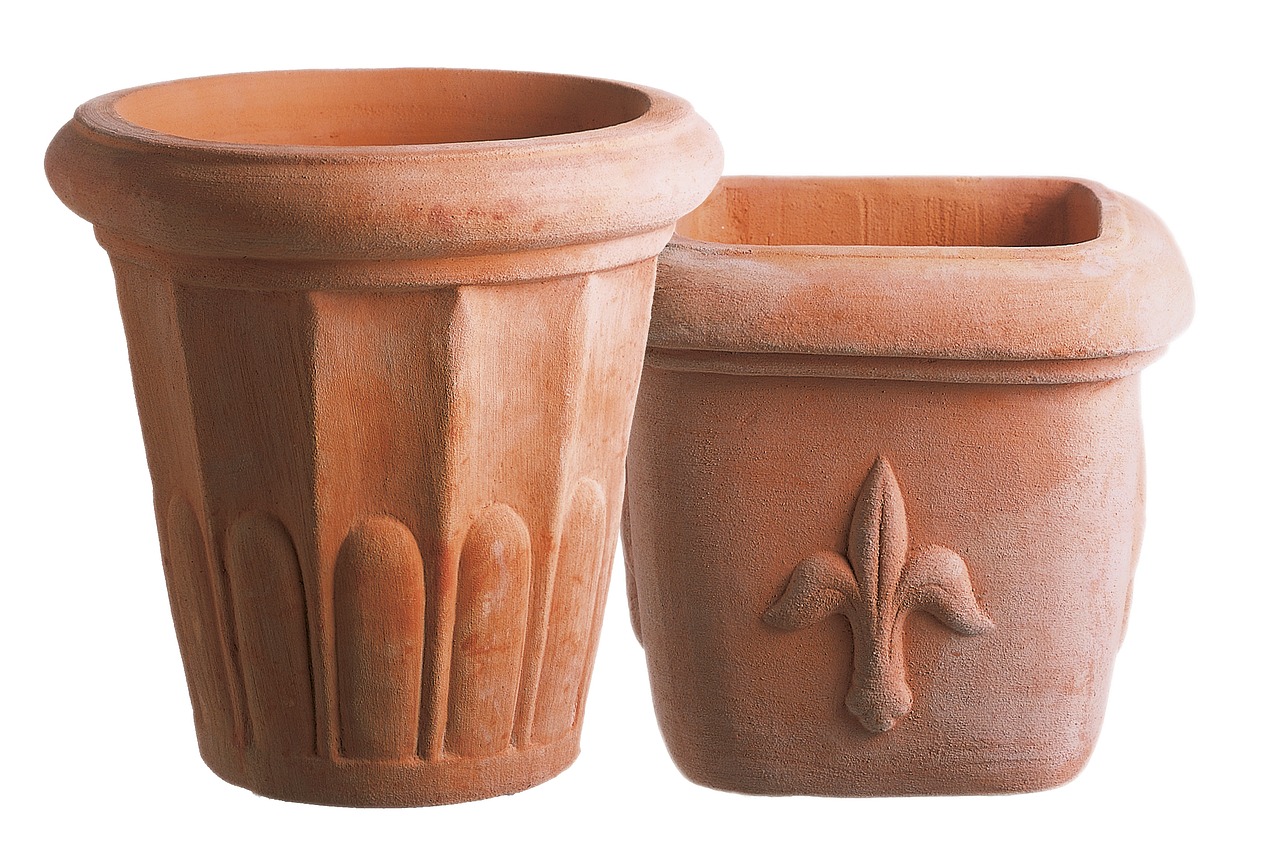 Pots should have drainage holes
