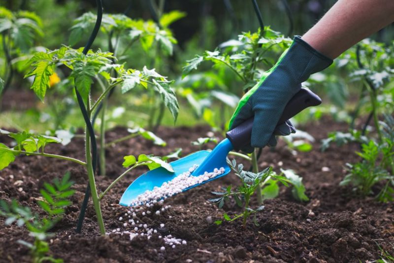 best fertilizer brands