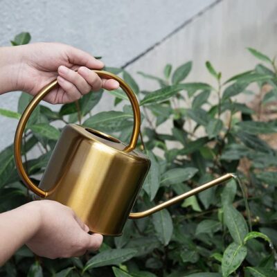 buy a metal watering can