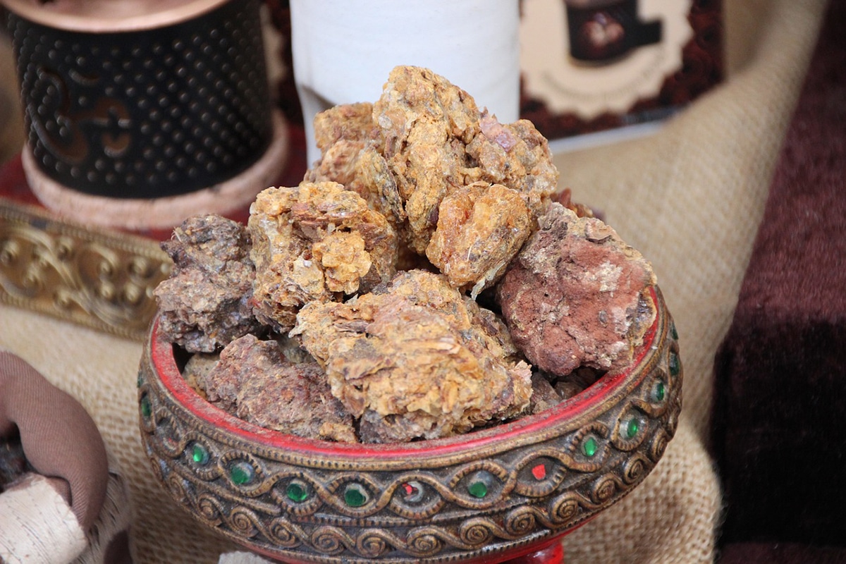 Myrrh is obtained from the Commiphora myrrha shrub.