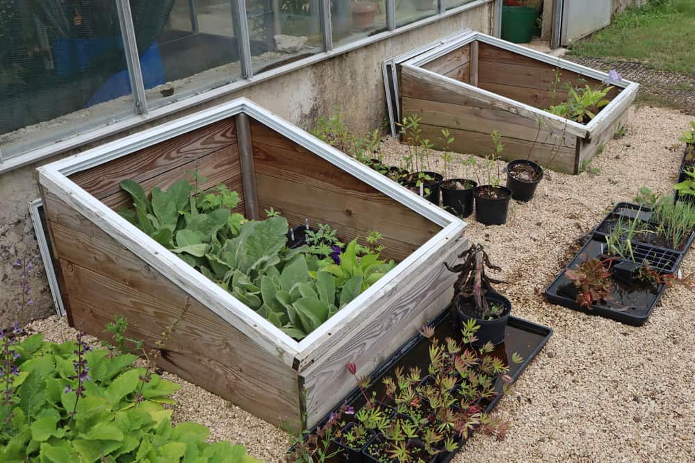 How to Use Your Cold Frame to Extend Spring Growth