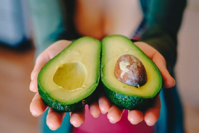 hueso de aguacate en agua