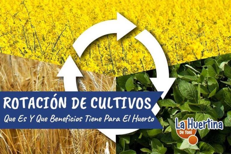 rotacion de cultivos