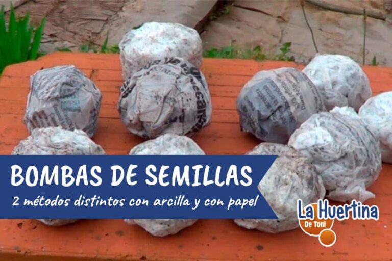 bombas de semillas