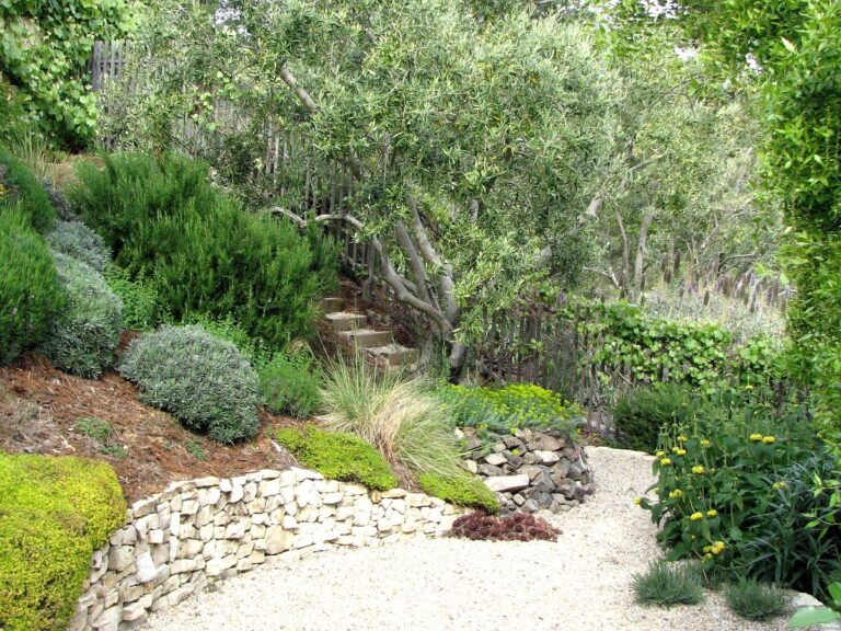 El jard&iacute;n mediterr&aacute;neo es un xerojard&iacute;n