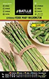 Green asparagus MARY WASHINGTON