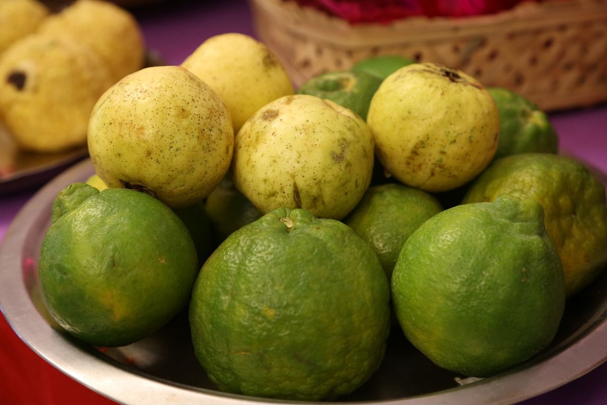 yellow and green guavas