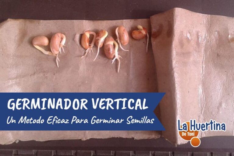 cómo hacer un germinador de semillas casero