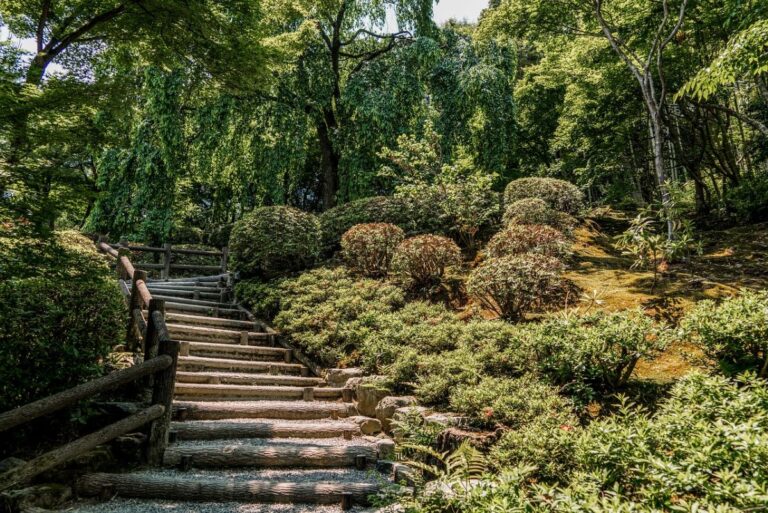 jardines escalonados