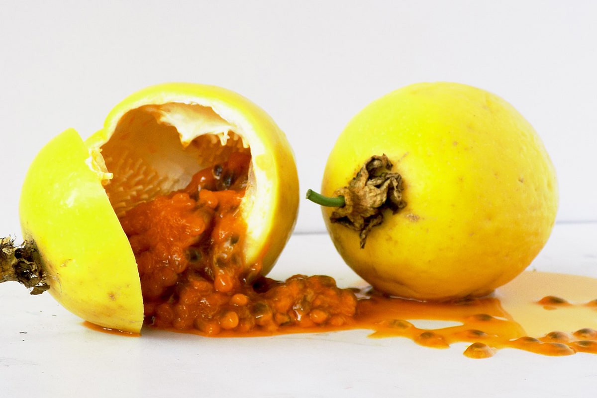 Passion fruit is also known as passion fruit.