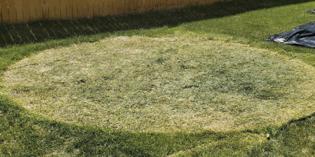 removable pools